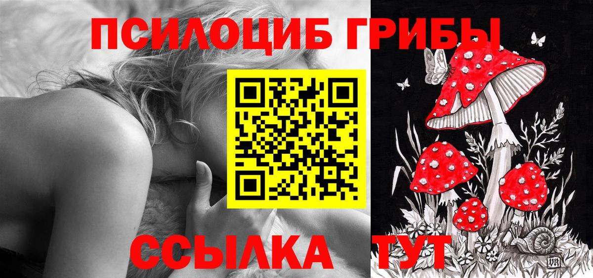 Псилоцибиновые грибы MAGIC MUSHROOMS Жуковский